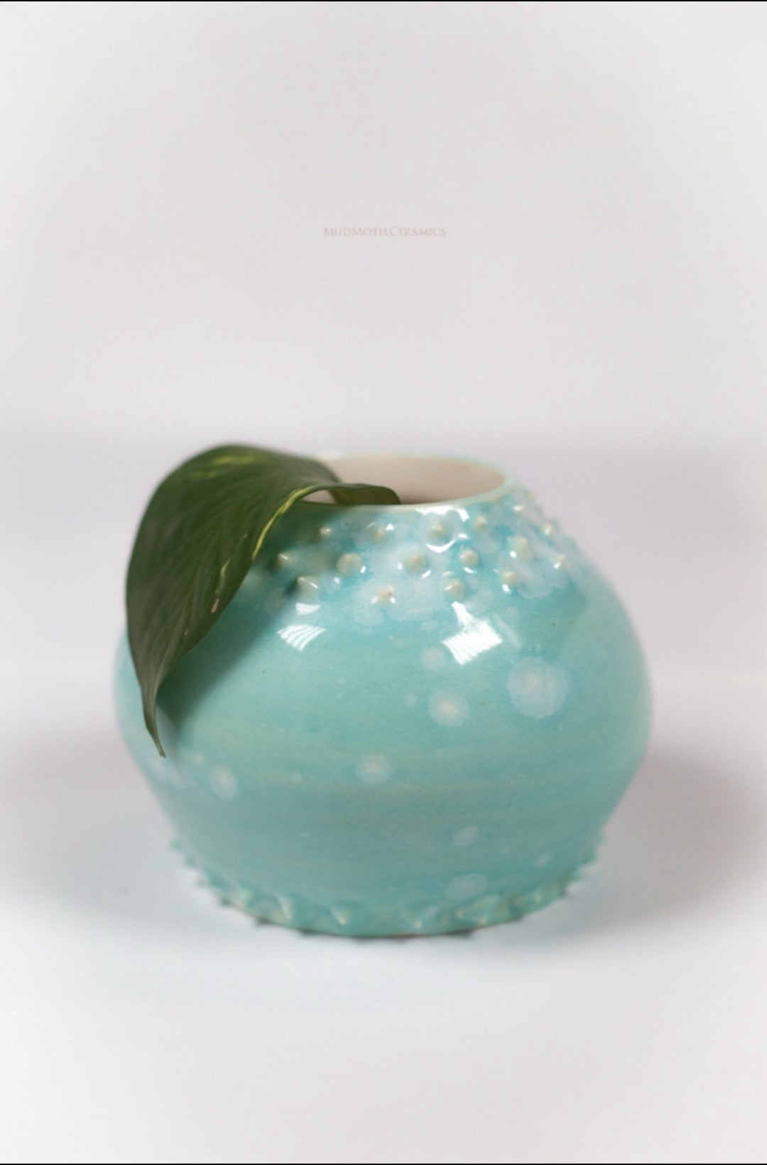 Round Vase